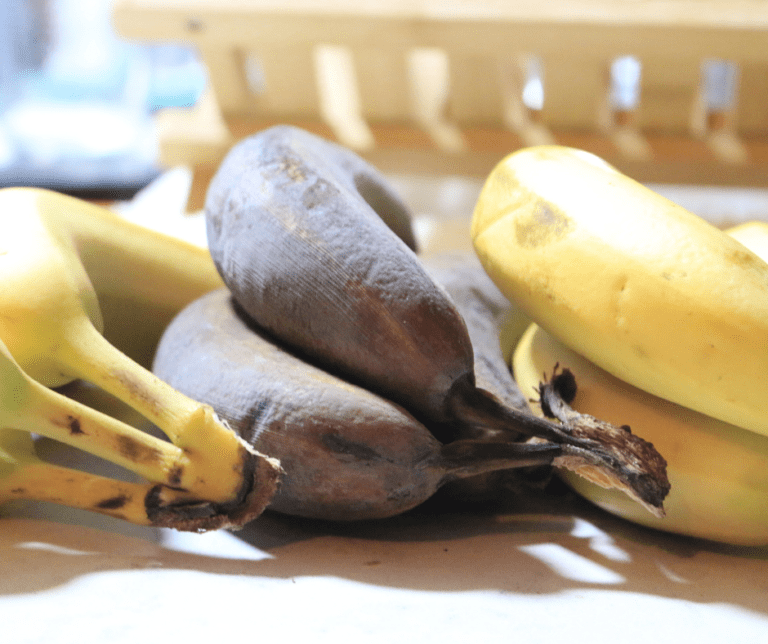 How To Ripen Bananas Quickly In the Air Fryer Fork To Spoon