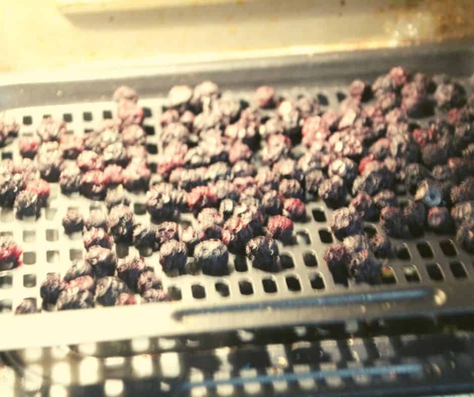 Air Fryer Dehydrated Blueberries Fork To Spoon