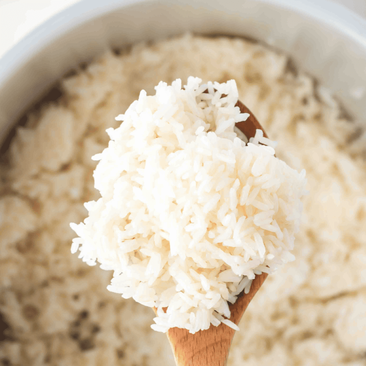 Basmati Rice Recipe Ninja Foodi at Gene Mcclain blog
