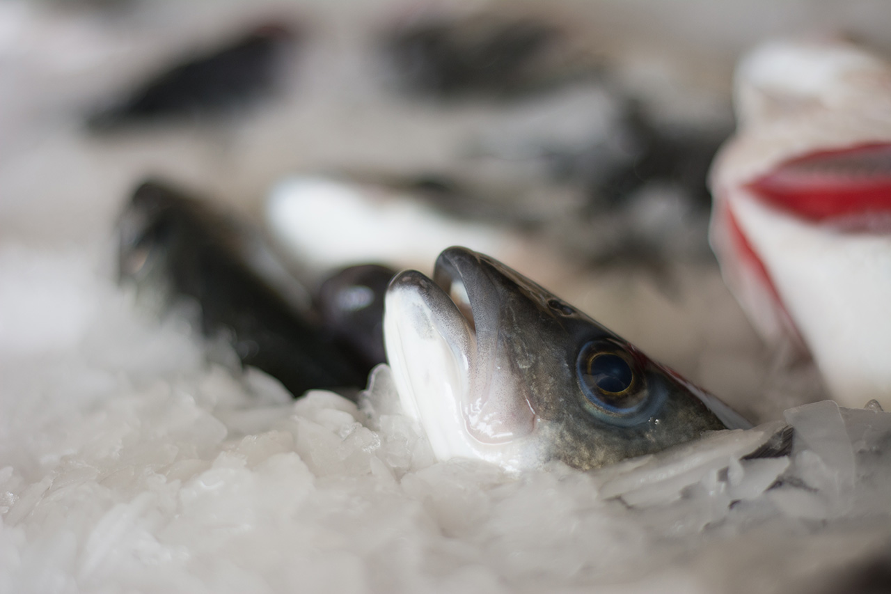 Sea Bass Vs Sea Bream Nutrition