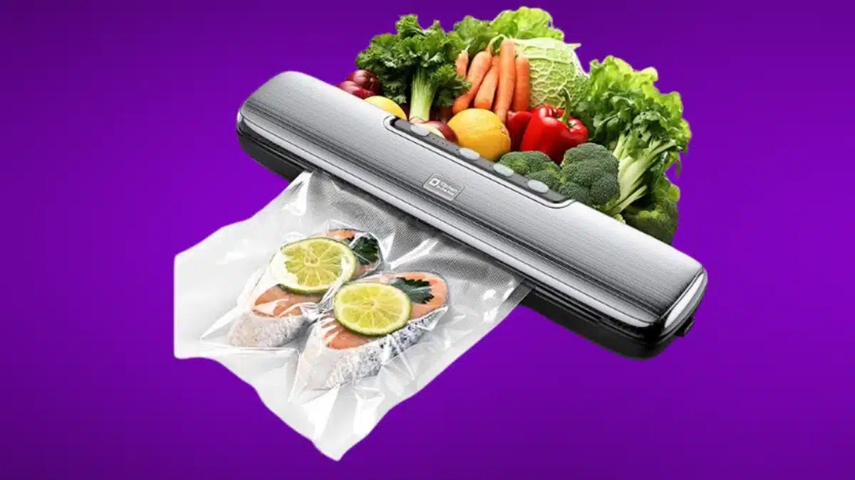 8 Best Vacuum Sealer Machines for Fresh Food Preservation for 2024