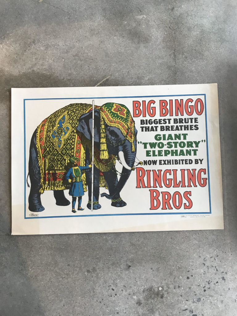 Large Circus Poster (various styles) Form & Function Asheville NC