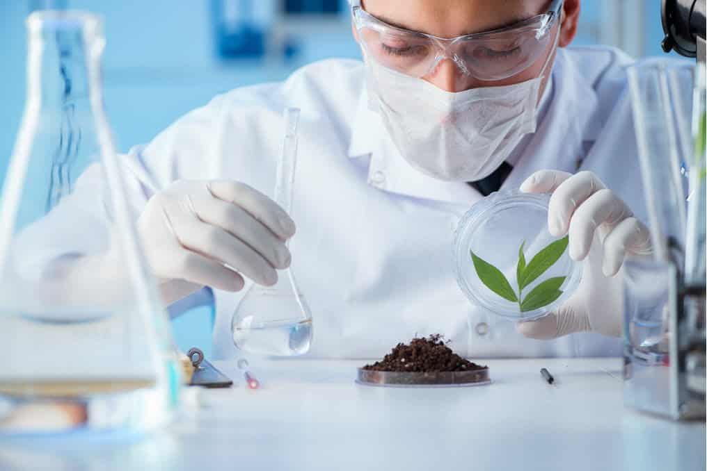 Can Soil Testing Labs Meet Growth in Organic Farming Industry?