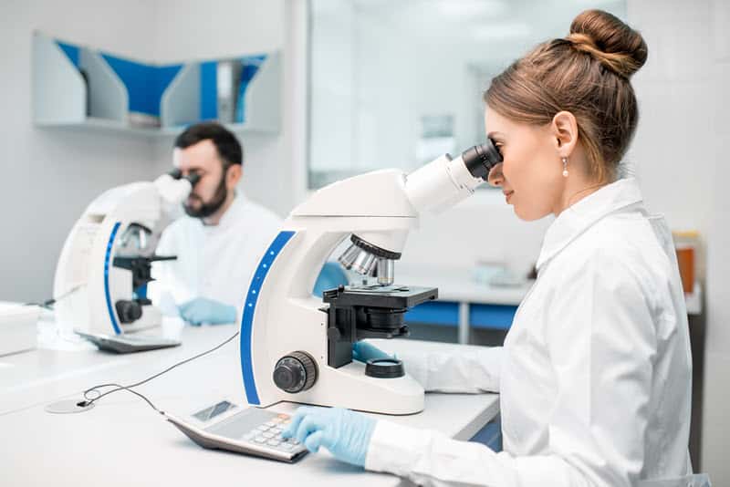 How to Choose the Right Microscope Table Formaspace