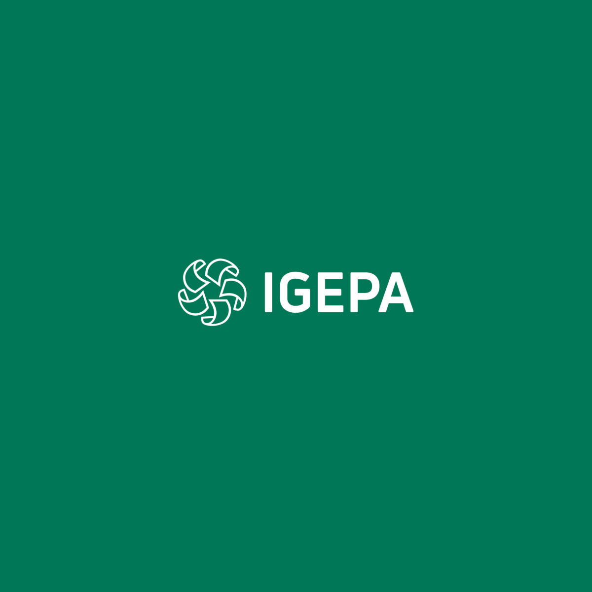 Igepa Format Design