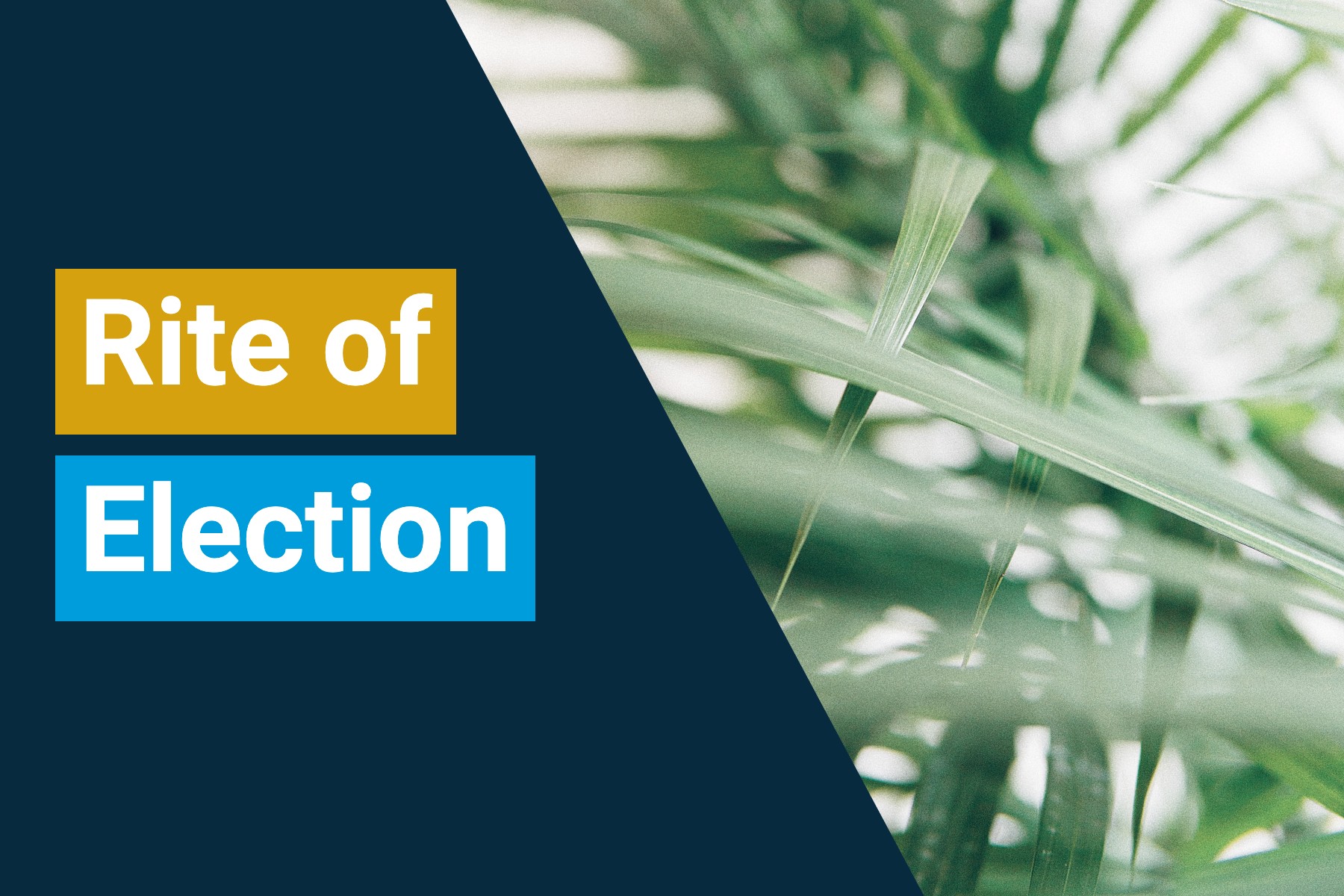 St. Augustine February Events 2023 Rite of Election 2023 Formation Reimagined