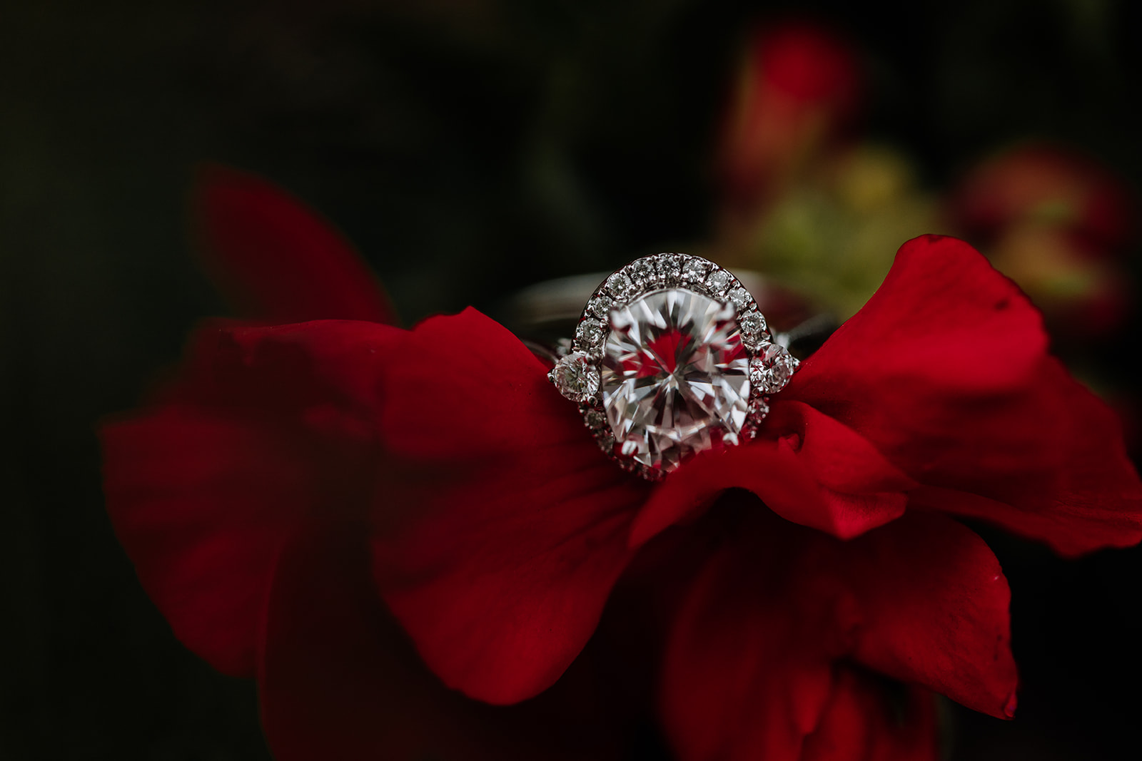 How to Take Stunning Engagement Ring Photos (StepByStep Guide
