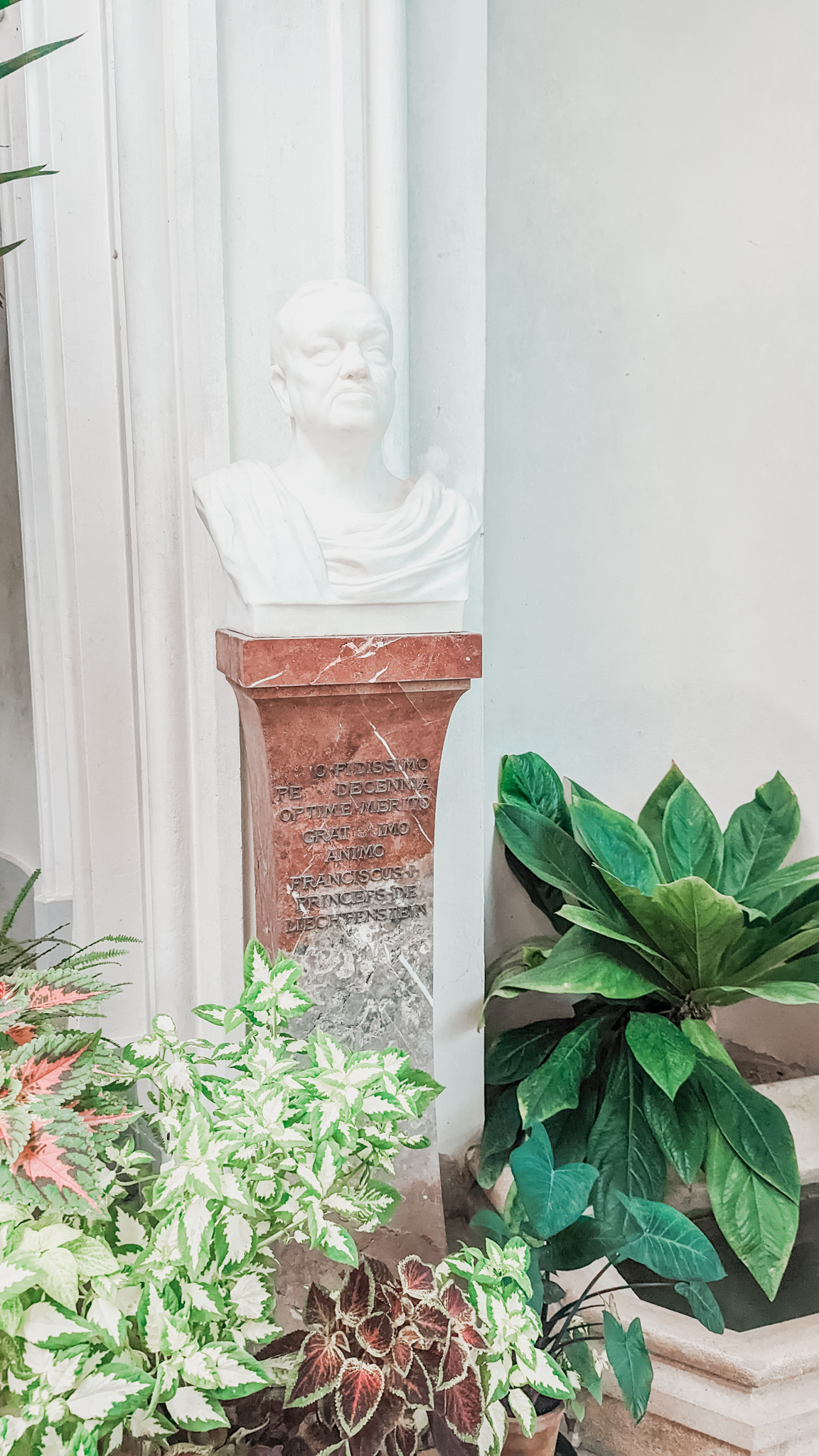 A small statue of a man's head is surrounded by different green flowers.