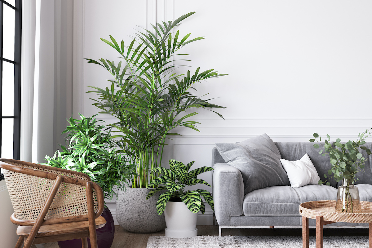 The Sustainable Furniture Brands Helping to Outfit Homes the