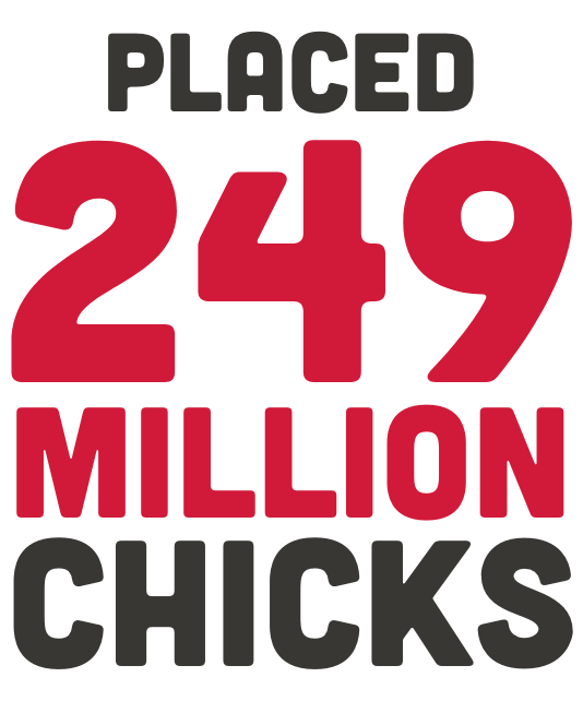 Chicken Farmers of Ontario 2019 Annual Performance Report