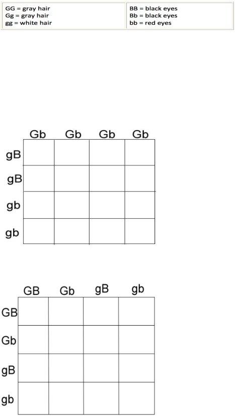 Chapter 10 Dihybrid Cross Worksheet PDF Form - FormsPal