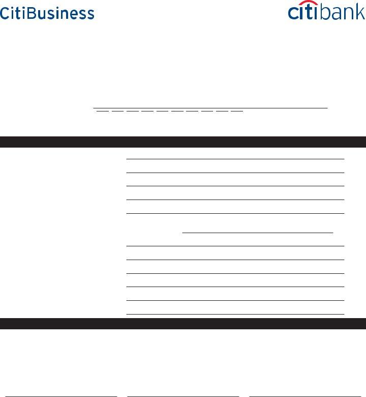 Citibank Deposit Slip ≡ Fill Out Printable PDF Forms Online
