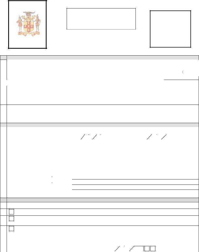 Jamaican Passport Application PDF Form FormsPal