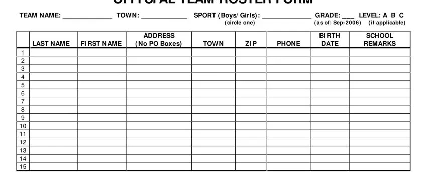 Basketball Roster Template PDF Form - FormsPal
