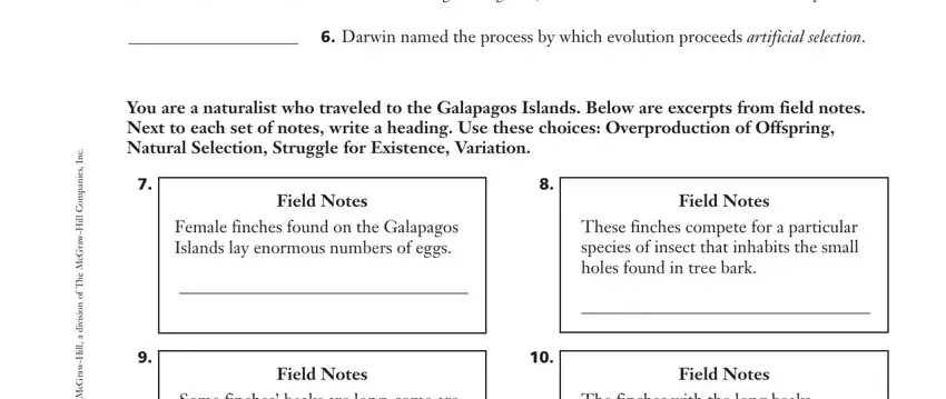 Chapter 15 Theory Of Evolution Worksheet PDF Form - FormsPal