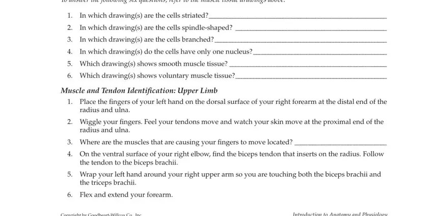 Chapter 5 Lab Investigation Muscles PDF Form - FormsPal
