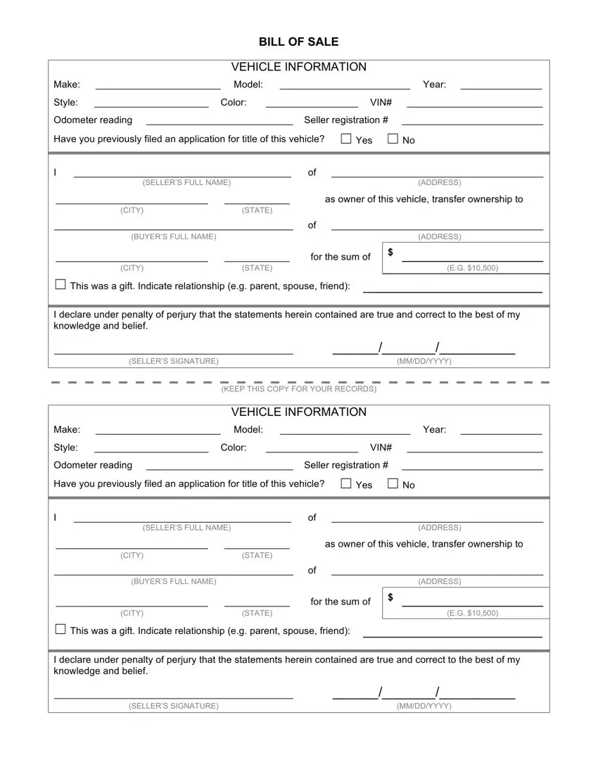 Application Vehicle Information PDF Form FormsPal