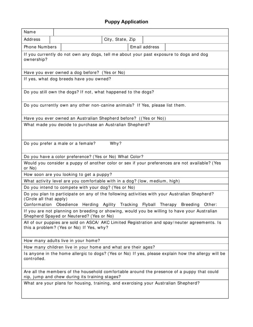 Do Dogs Have A Color Preference