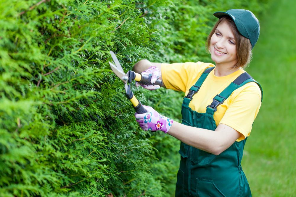 gardening services Adelaide Not Just About Mowing the Lawn