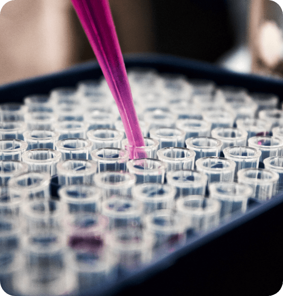 About Us Formula Plastics