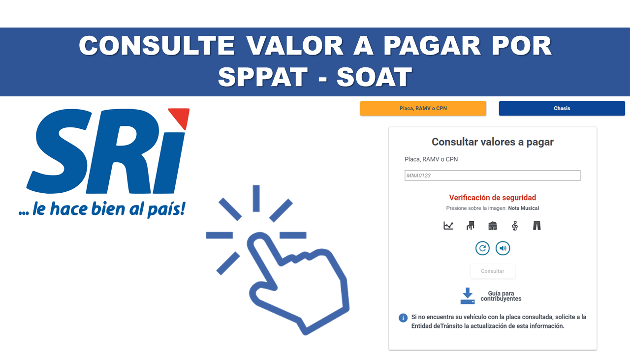 Consulte el Valor a Pagar por SPPAT SOAT 2021