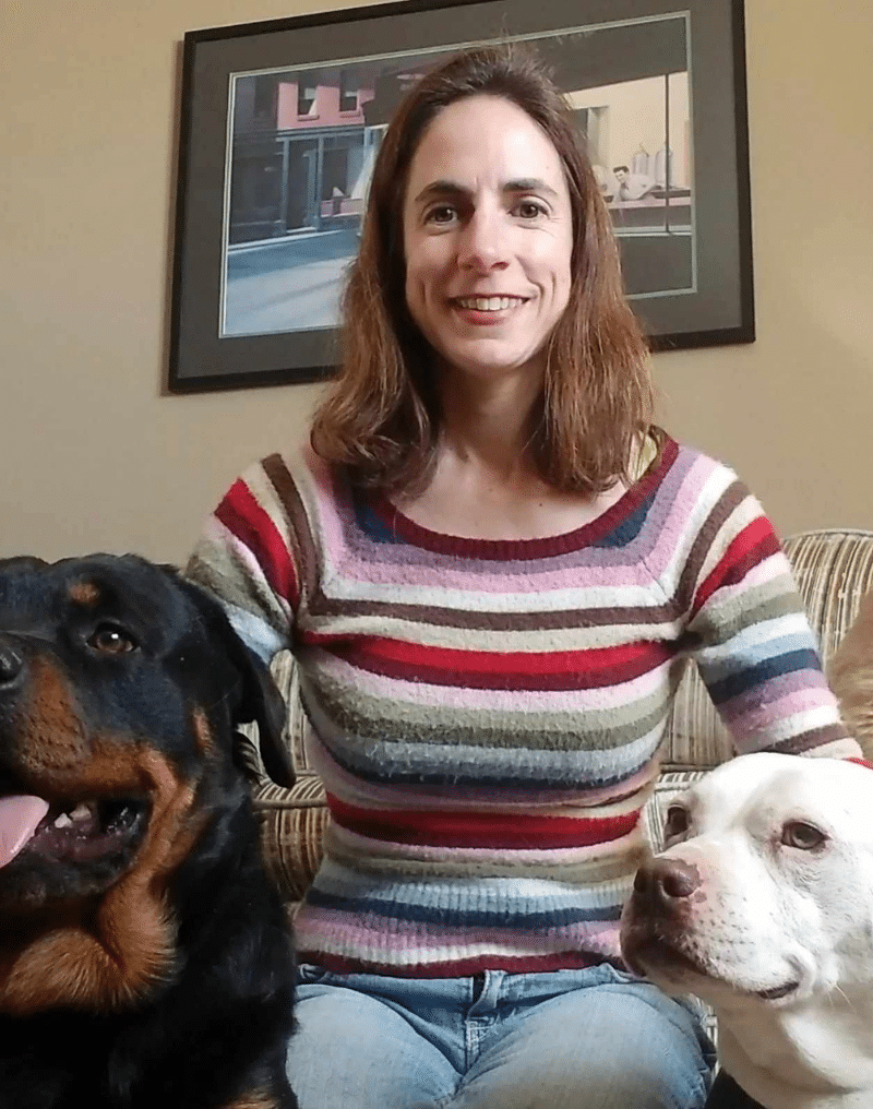 Veterinarian In Falcon CO 80831 For Paws Veterinary Clinic