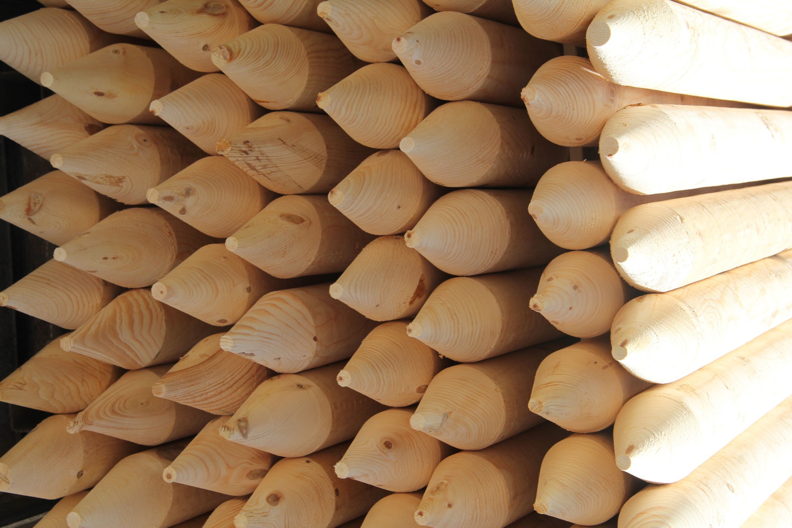 Wholesale Lumber Forest Products Distributors, Inc.