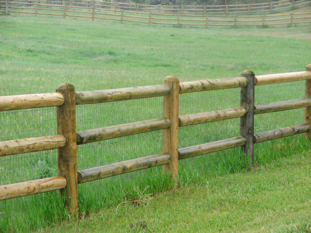 Wholesale Lumber Forest Products Distributors, Inc.