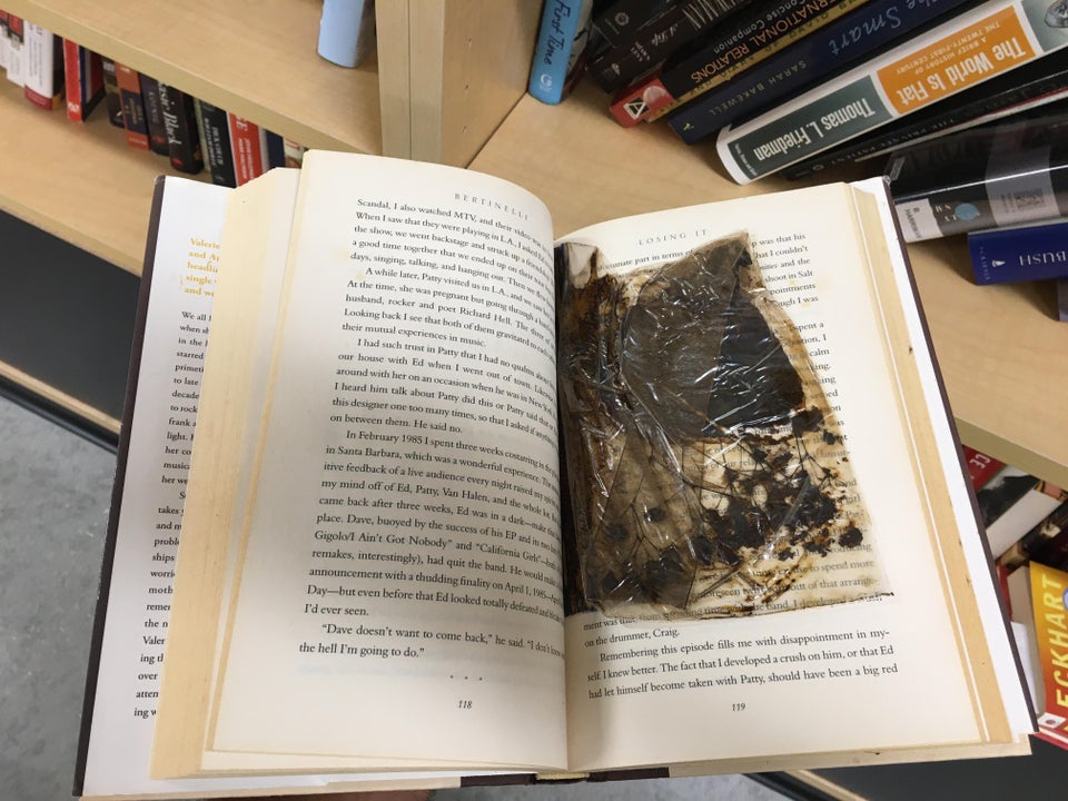 mouldy flowers For Reading Addicts