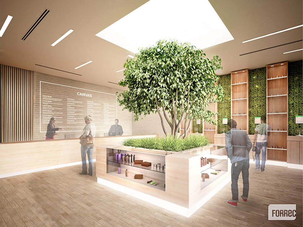 Sustainable Interior Design Projects