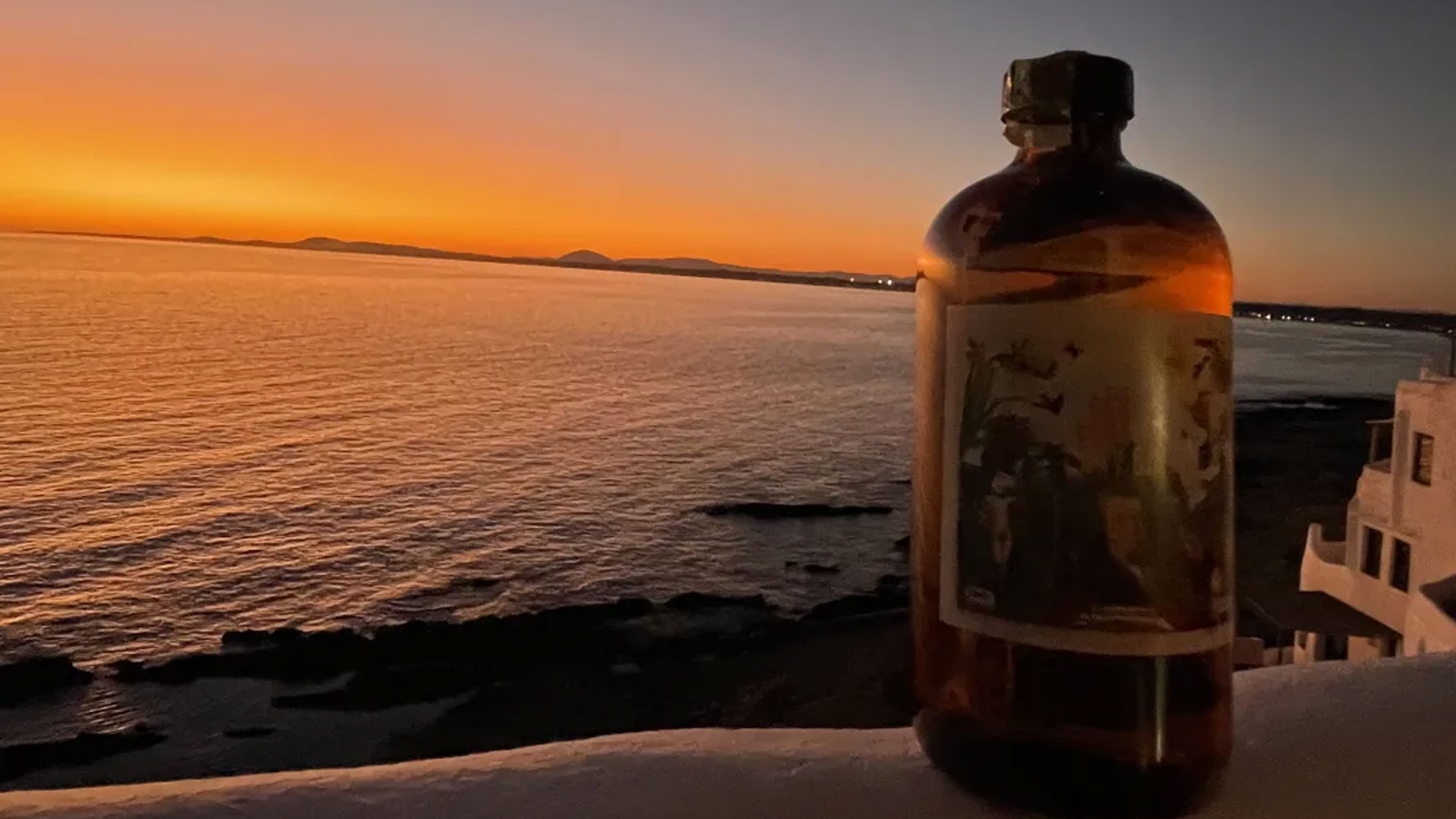 Forster Dry Gin Coming Soon