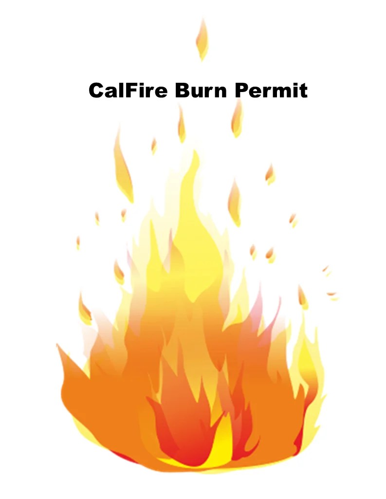 CalFire Burn Permit Fort Bragg Library