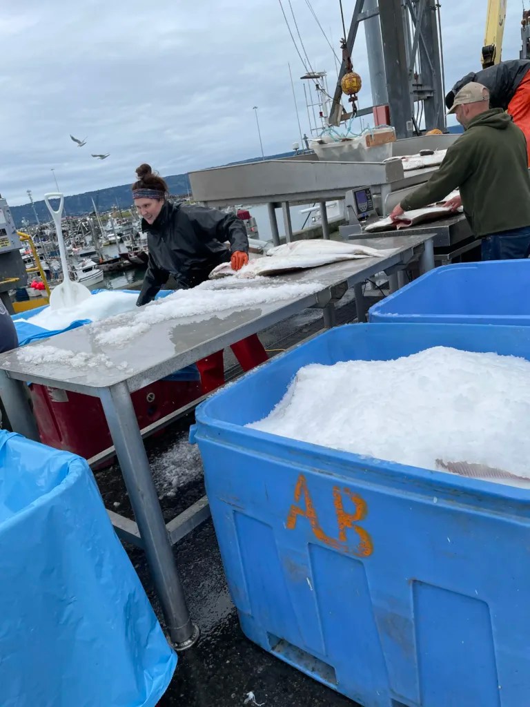 Fort Collins Winter Farmers Market Fort Collins Area Chamber of Commerce