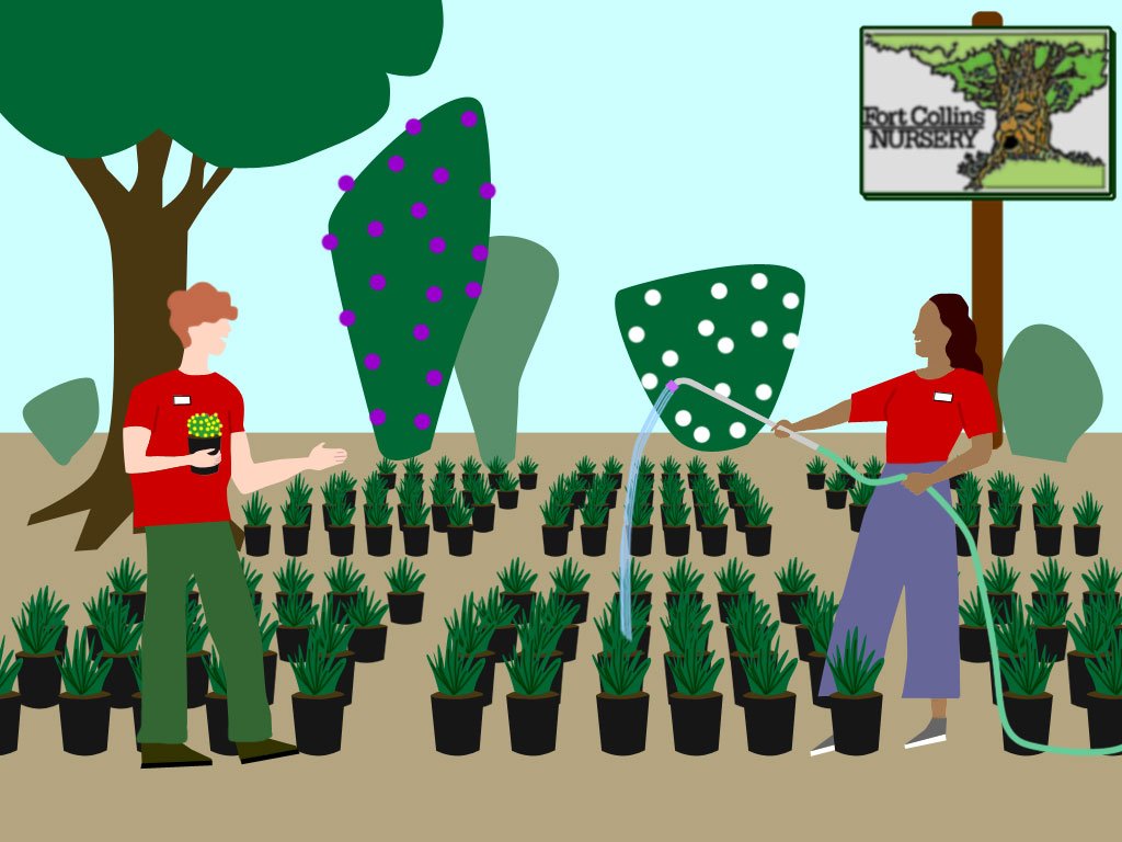 Employment Fort Collins Nursery