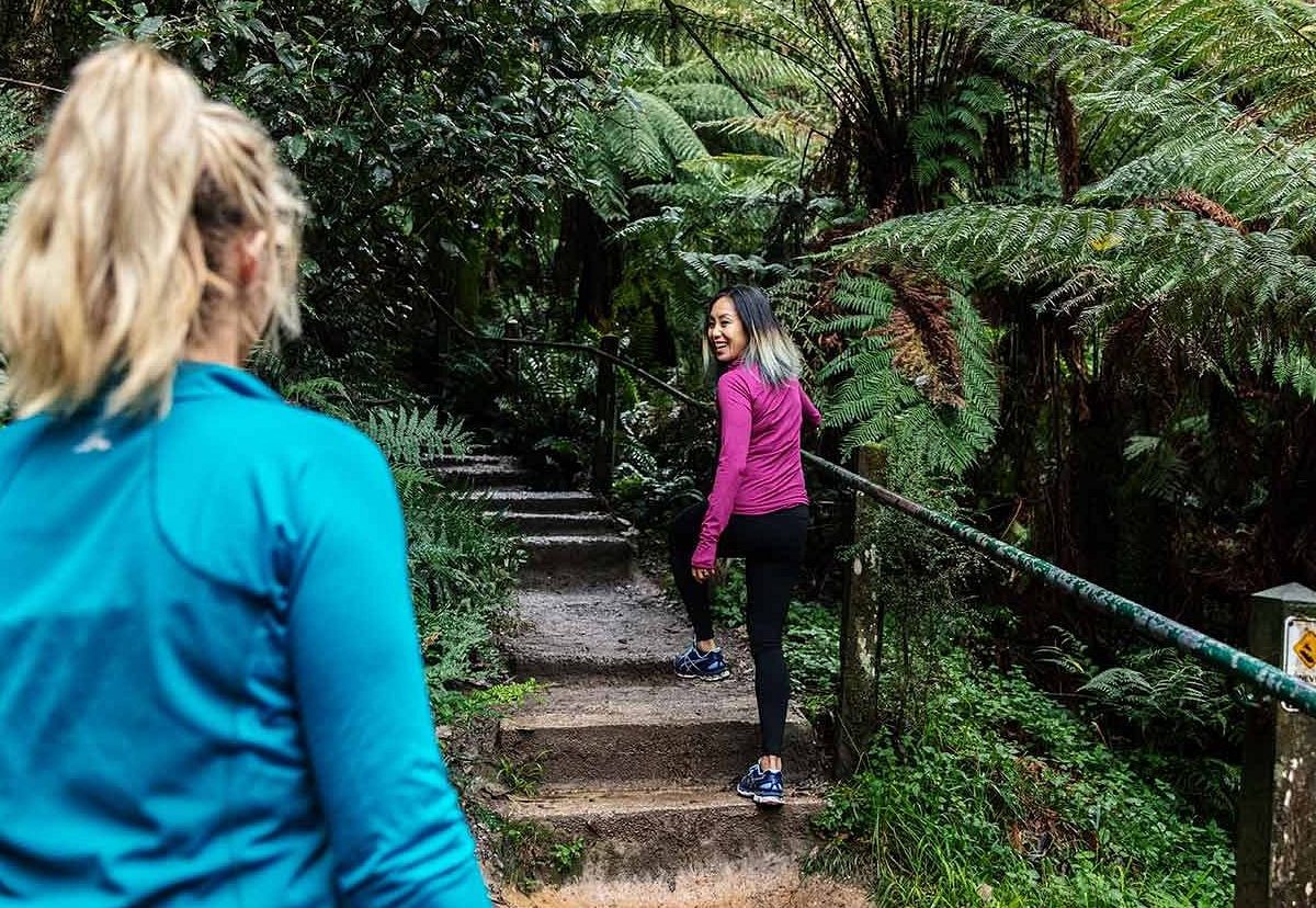 Melbourne walking track The 1000 Steps has finally reopened