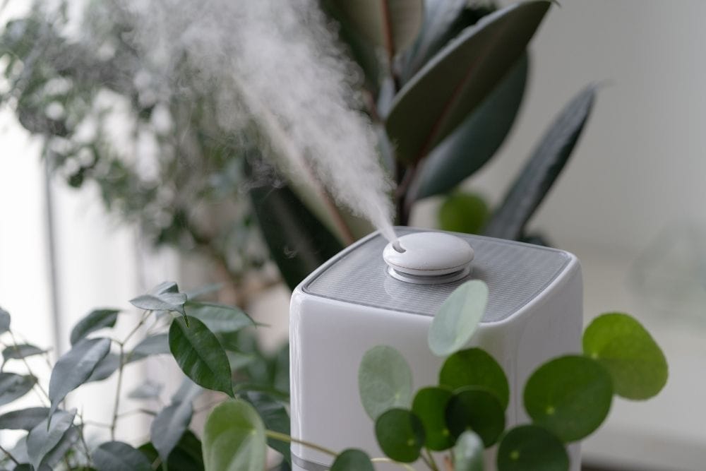 Diffuser vs. Air Purifier A SidebySide Comparison For The Essentials