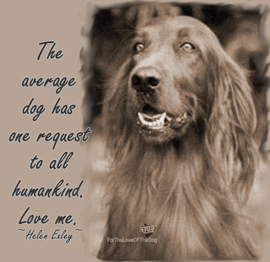 Quote The Average Dog Has One Request.... For the Love of the Dog