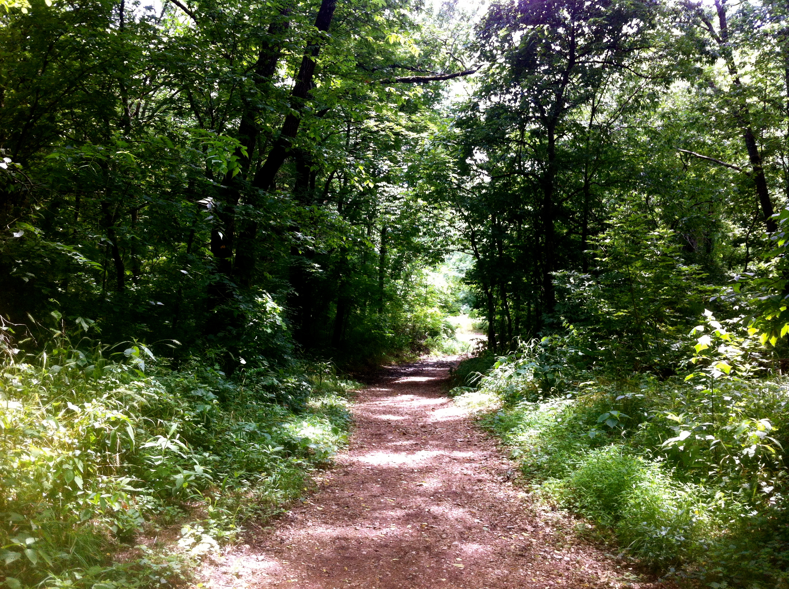 Busiek State Forest, Missouri For the Love of Wanderlust