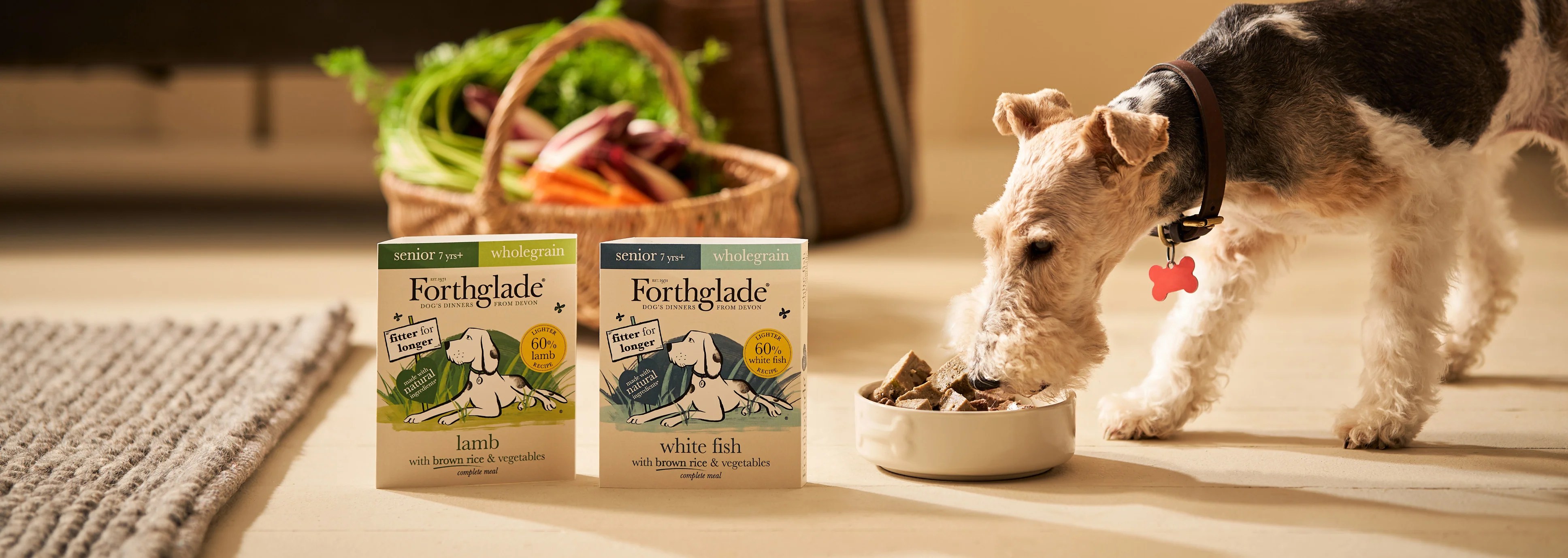 Senior Wet Dog Food Wet Food for Older Dogs Forthglade