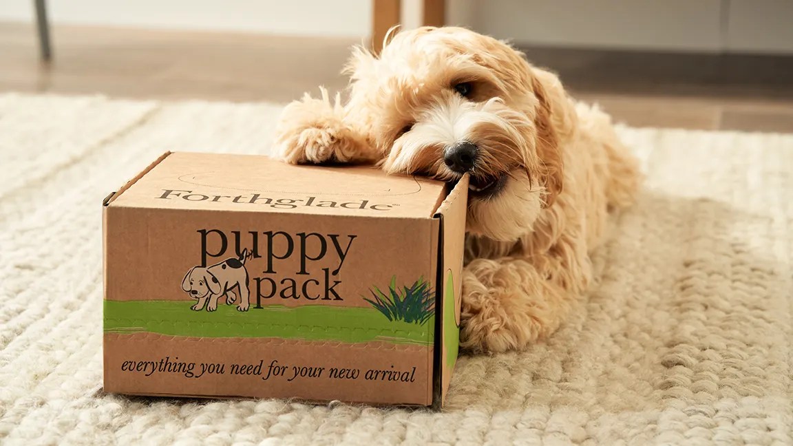 Natural Puppy Food Award Winning Dog Food Forthglade