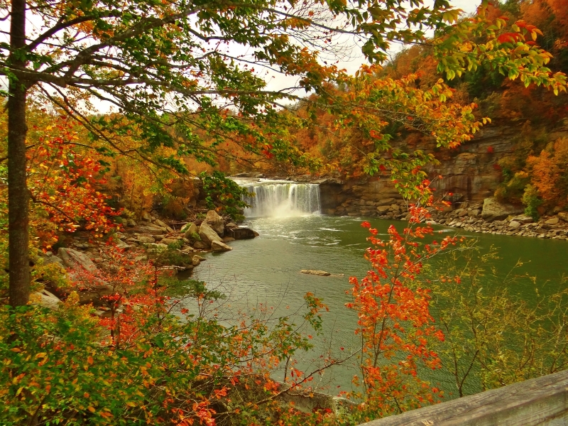Pretty Autumn in the Cumberland Gap