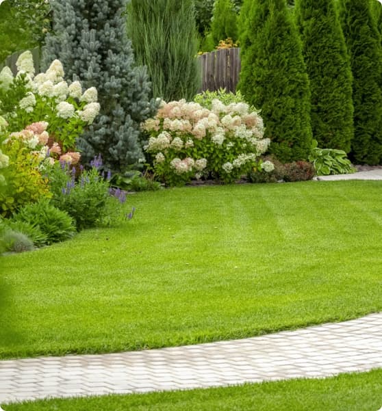 Fortini Turf Turf Laying & Supplies in Townsville