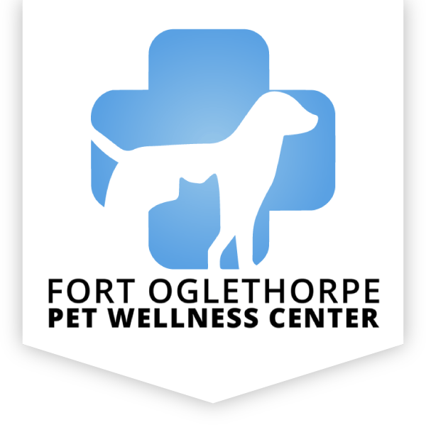 Veterinarian in Fort Oglethorpe Vet Care Contact Our Animal Hospital