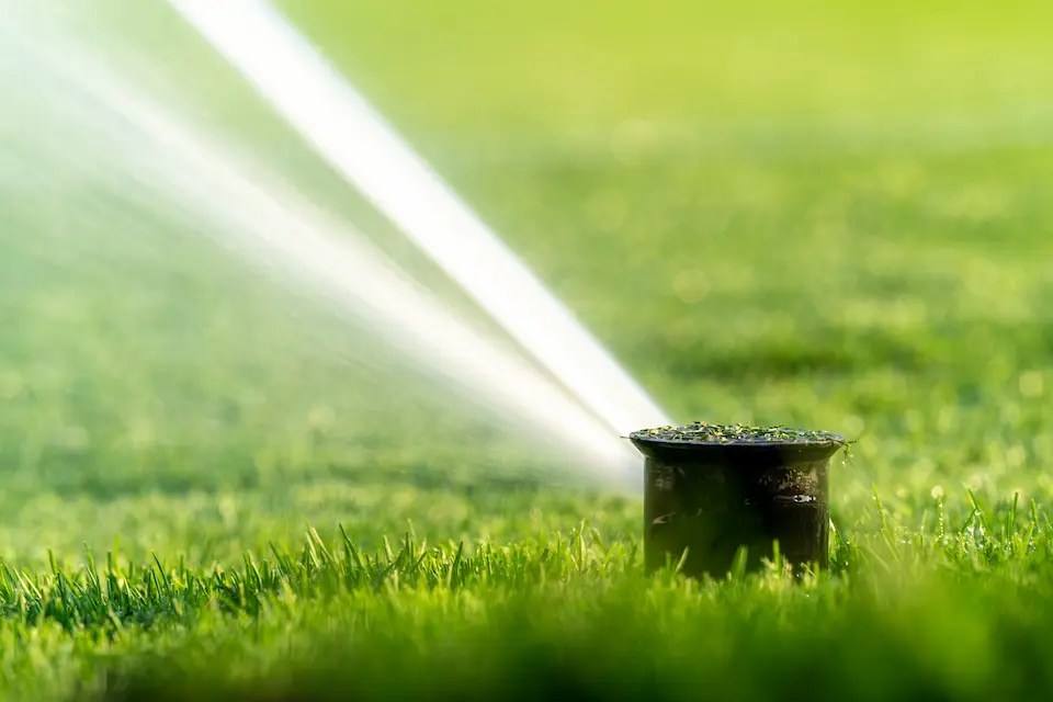 Water Wisely The Best Time to Water Your Lawn in NC for a Lush Green
