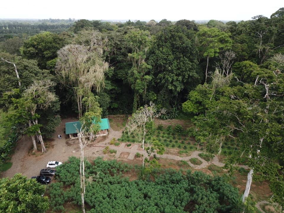 MONKEY FARM EXPERIENCE Fortuna Services