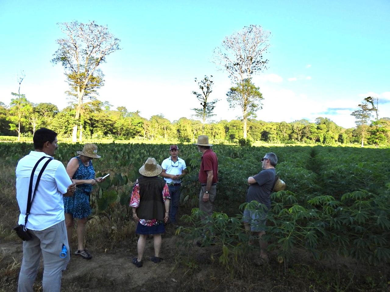 MONKEY FARM EXPERIENCE Fortuna Services