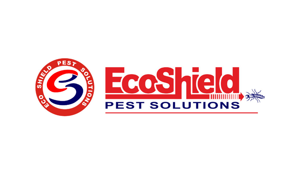 Best Digital Marketing Company in Surat Performance Marketer