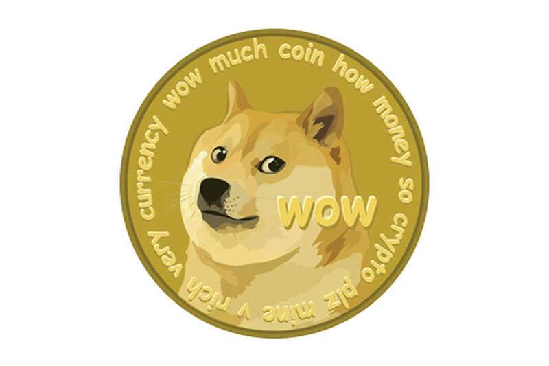 Ava Labs President on Dogecoin When Your CMO Is Elon Musk, ‘Anything