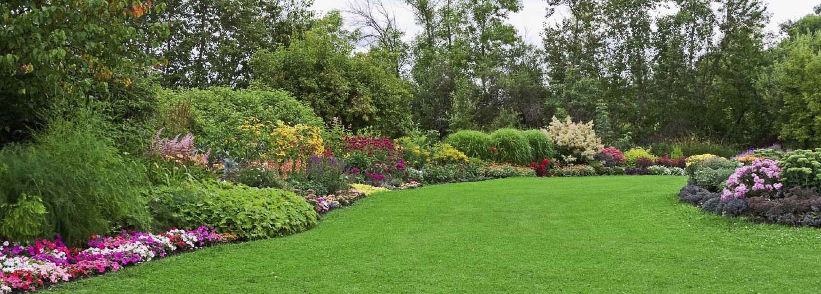 Lawn Service Fort Worth