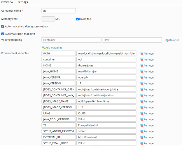 Installation on Plesk Docker OpenRemote
